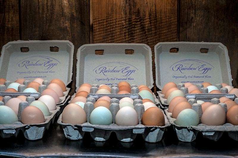 Certified Organic Rainbow Eggs