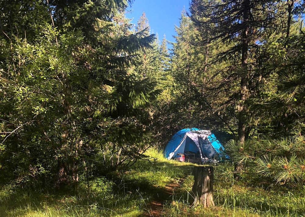 tent camping at Willow-Witt Ranch