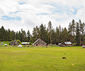 farm stay vacation at Willow-Witt Ranch in Oregon