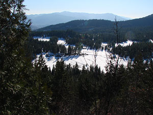 Looking back at Willow-Witt Ranch and surrounding forest in winter