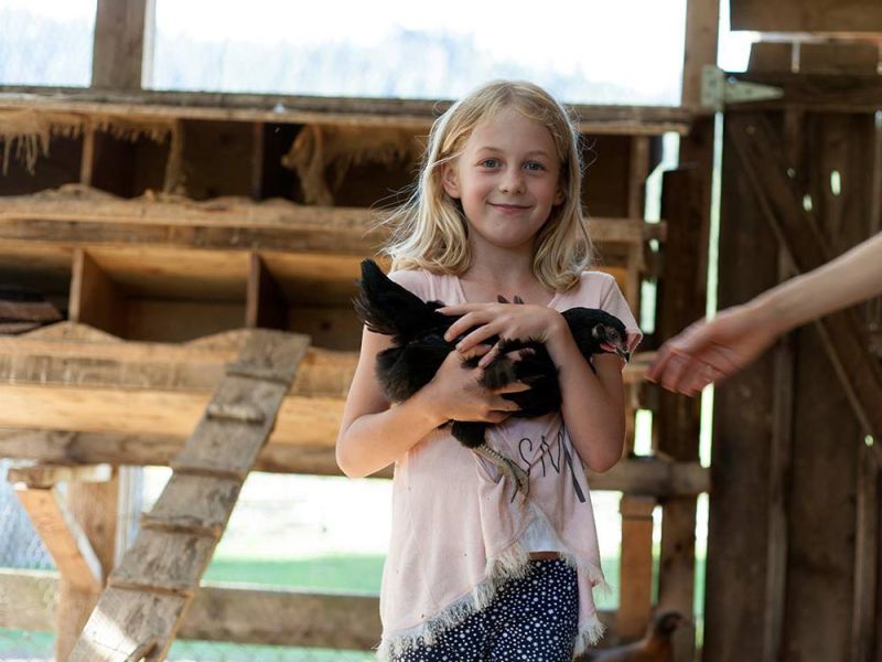 young girl holds friendly chicken in the bar