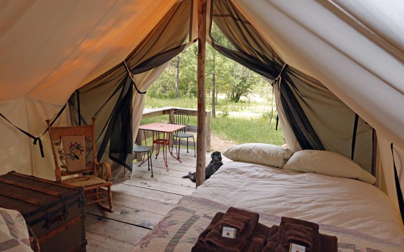 Inside Redwing wall tent looking to outdoors and ranch dog