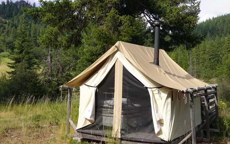 Wren wall tent rear exterior and view
