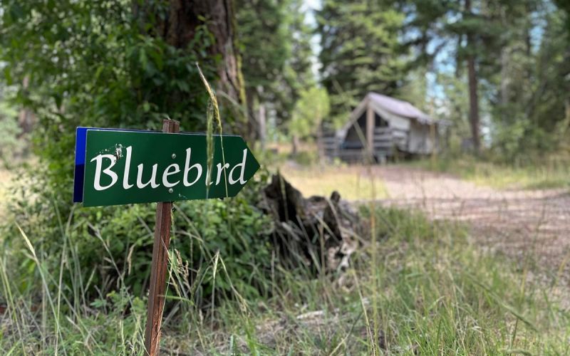 Footpath sign leads to Bluebird wall tent