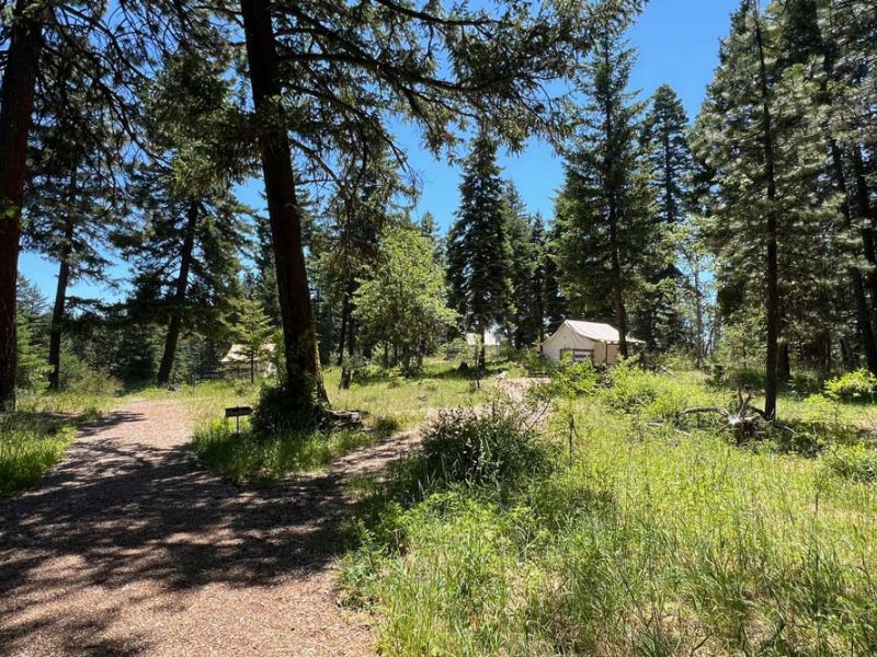 path through the wooded campground