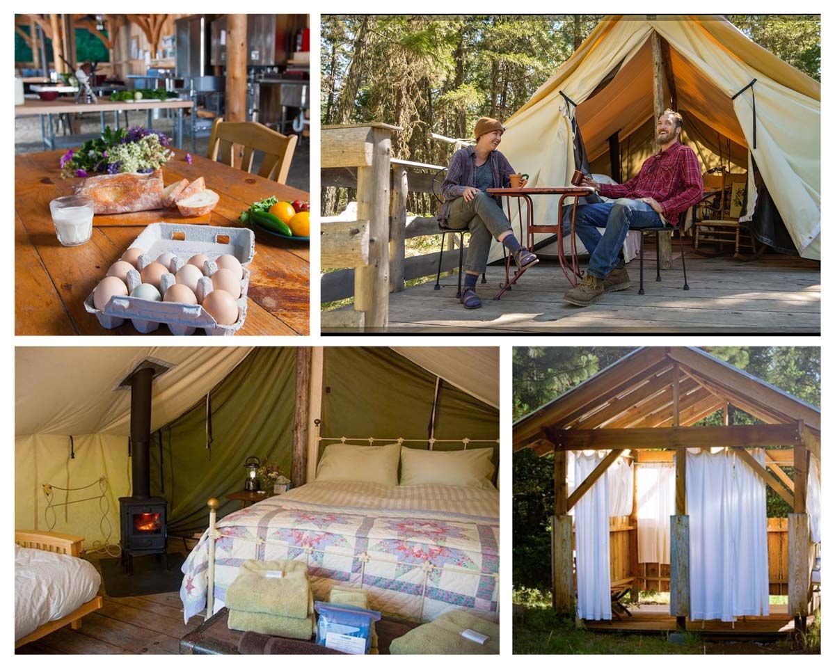 The Campground at Willow-Witt Ranch photo collage of luxury tent cabins, camp kitchen, and outdoor showers (there are also modern indoor shower and bathroom facilities)