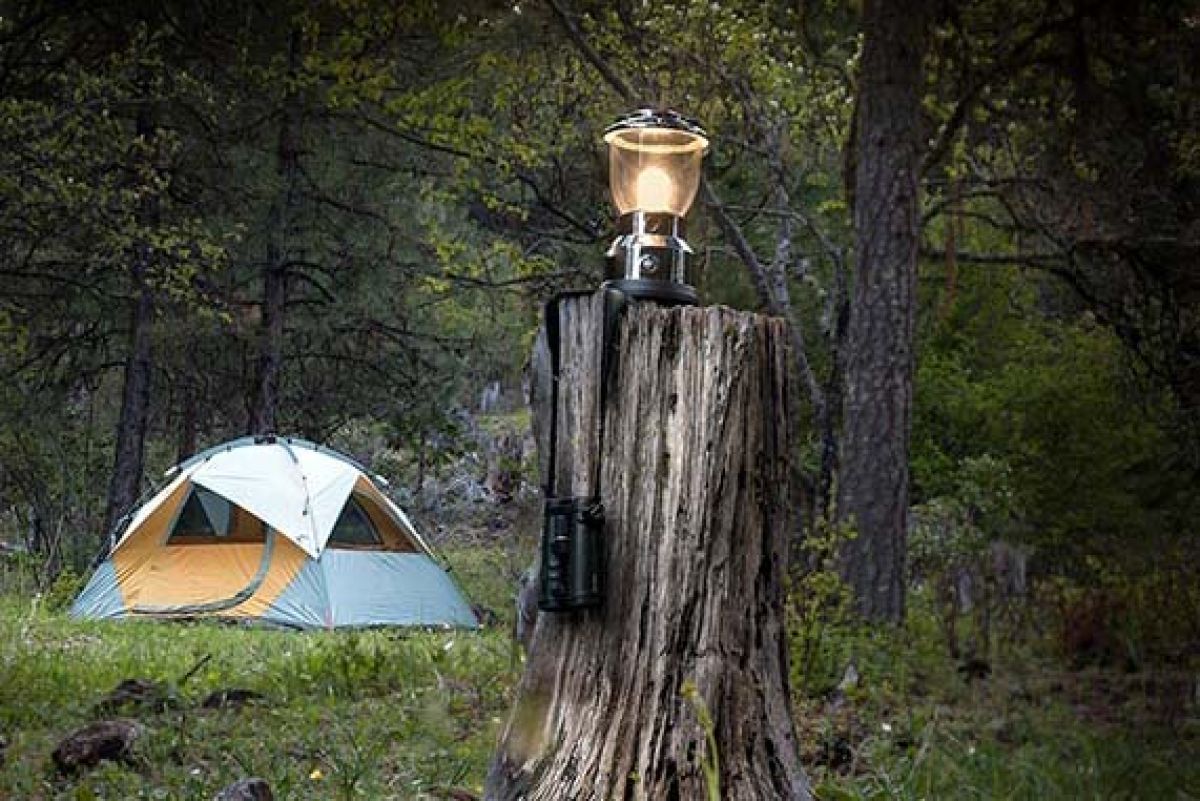 tent site in the trees at The Camps at Willow-Witt RAnch