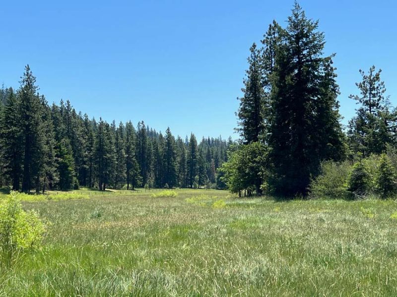 ranch valley view from mountain overlook with Alpine goat on rocks