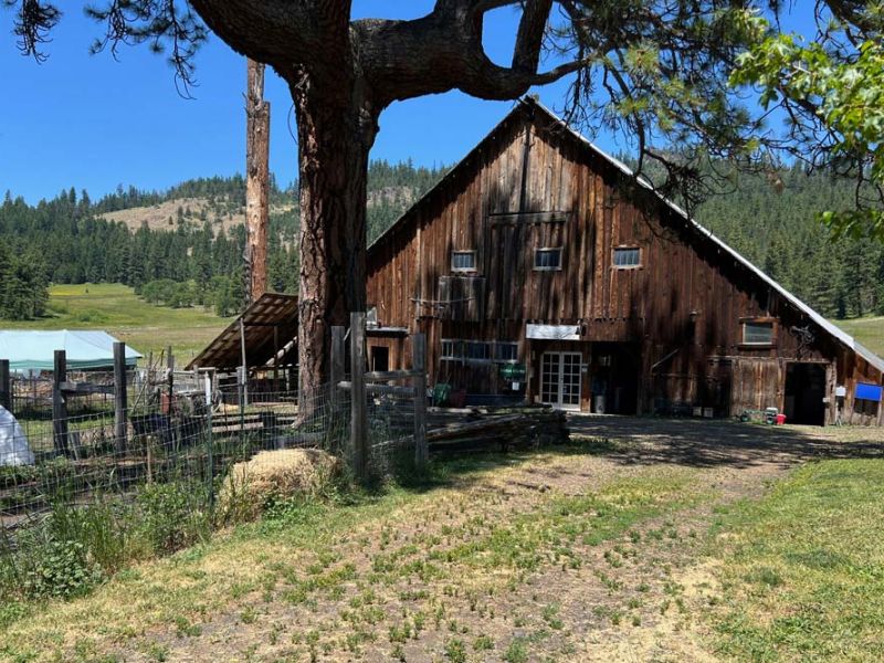 ranch valley view from mountain overlook with Alpine goat on rocks