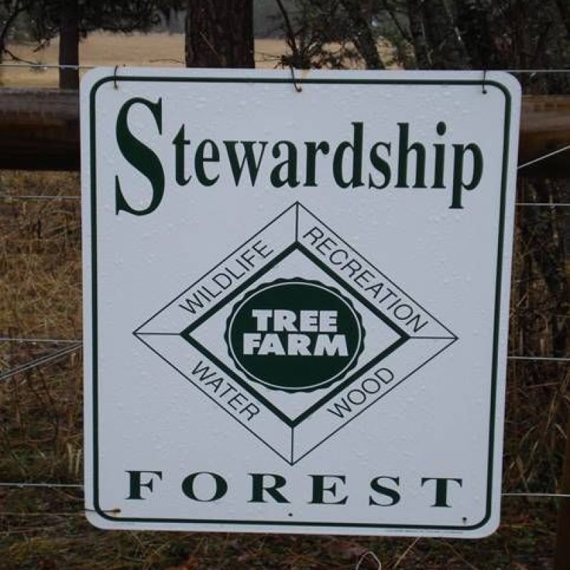 Stewardship Forest sign