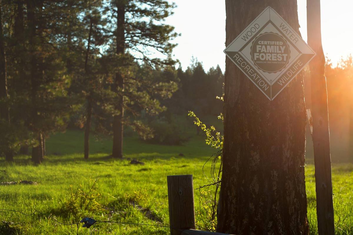 Certified Family Forest sign posted on tree