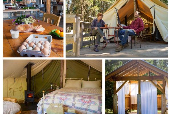The Campground at Willow-Witt Ranch photo collage of luxury tent cabins, camp kitchen, and outdoor showers (there are also modern indoor shower and bathroom facilities)