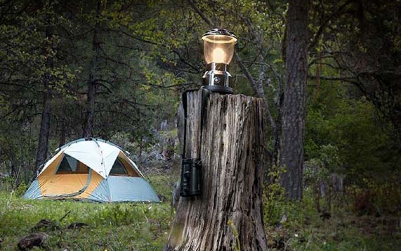 Tent camping site set up with lantern on tree stump by Dave Baldwin Photography