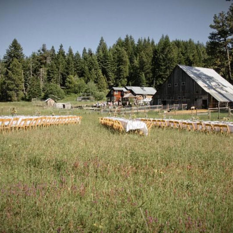 long tables set with tablecloths in farm meadow ready for farm-to-fork dinner event
