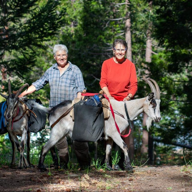 Lanita and Suzanne with pack goats