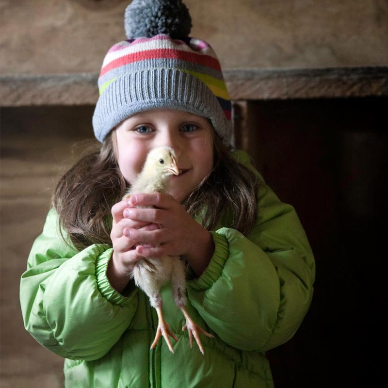 young girl excitedly holds fuzzy yellow chick