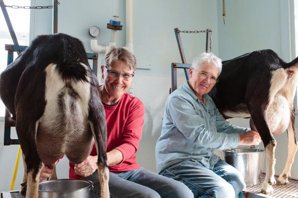 Founders Suzanne Willow and Lanita Witt milking their alpine goats