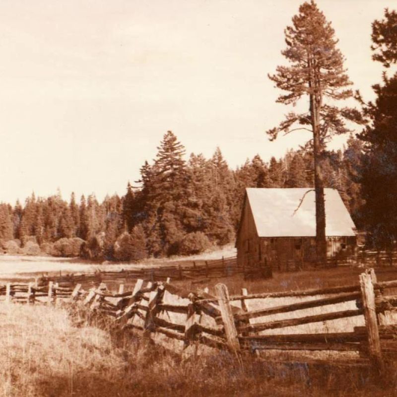 The land when we found it, 1984/85
