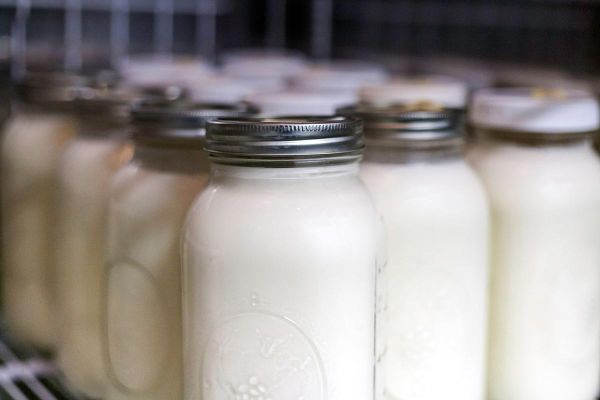 fresh raw goat milk in jars in refrigerator ready for sale