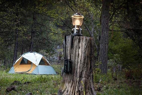 tent site in the trees at The Camps at Willow-Witt RAnch