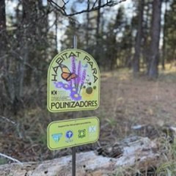 Xerces Society Spanish language sign about Pollinator Habitat