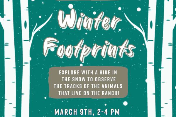 Winter Footprints