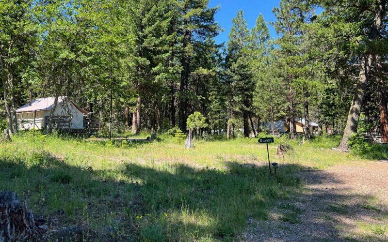 campground footpath leading to Raven Wall Tent and others